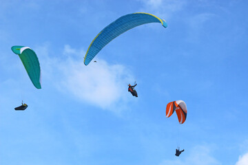 Poster -  Paragliders flying in a blue sky