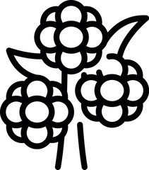 Poster - Three flowers growing together with leaves on stems icon