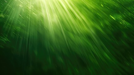 Poster - Bright sunlight shining through trees in a lush green forest