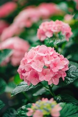 Aufkleber - A bunch of pink flowers with green leaves