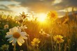 © Fotograf - A beautiful scene of a field of flowers with the sun setting in the background, great for use as a calming and peaceful image