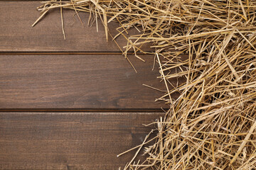 Canvas Print - Dried straw on wooden table, space for text