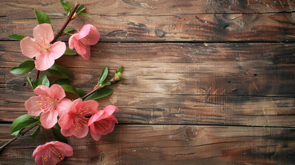 Wall Mural - pink flowers on a beautiful wooden background