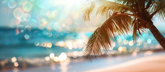 Blurred palm tree silhouette on sandy beach with tropical bokeh background - ideal for summer vacation and travel theme. Ample room for text placement