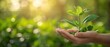 © Naret - Hand holding a young green plant against a blurred natural background, representing growth, nurturing, and environmental conservation.
