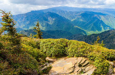 Wall Mural - View From Cliff Top Viewpoint on Mt. LeConte, Great Smoky Mountains National Park, Tennessee, USA