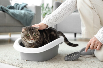 Wall Mural - Cute cat in litter box and owner with scoop at home