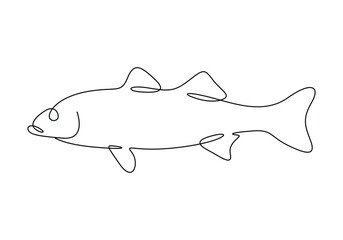 Wall Mural - Sea bass fish continuous one line drawing vector illustration. Pro vector