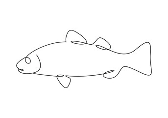 Wall Mural - Sea bass fish continuous one line drawing vector illustration. Pro vector