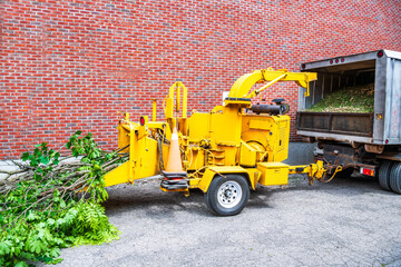 arborist company's wood chipper set up n a residential laneway ready to shred freshly cut maple bran