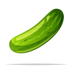 Canvas Print - Green cucumber vector isolated illustration