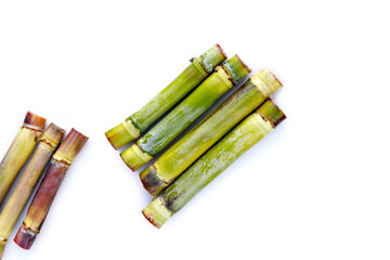 Canvas Print - Fresh sugar cane on white background.