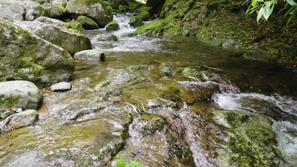 Wall Mural - 赤目四十八滝の水の流れ