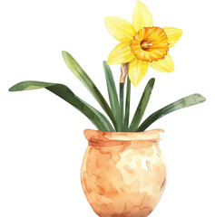 Wall Mural - Watercolor Daffodil in Pot.