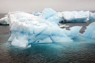 Canvas Print - Norway. The landscapes of Svalbard in Springtime