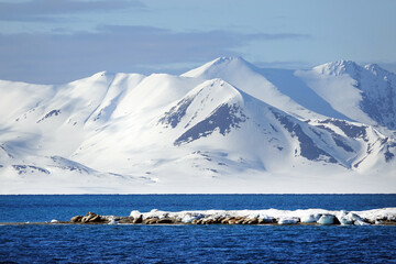 Canvas Print - Norway. The landscapes of Svalbard in Springtime