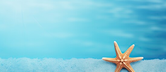 A summer themed background showcasing a starfish on a blue backdrop with ample copy space image