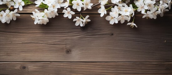 A spring themed copy space image showcasing beautiful white flowers placed on a rustic wooden background ideal for Mother s Day or Easter designs