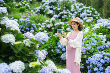 Poster - Pregnant woman use mobile phone to take photo in the hydrangeas flower garden