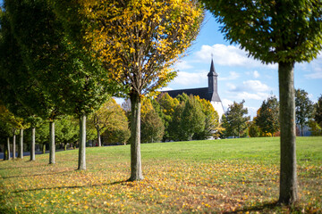 Wall Mural - Autumn foliage surrounds a cathedral, yellow leaves cover the grass