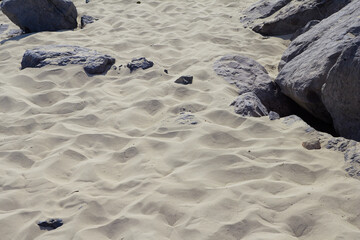 rocks on the summer beach