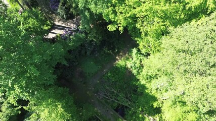 Poster - Drone of a forest with a city in the background on a sunny day with blue sky