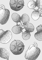 Wall Mural - Grayscale vegetables illustration sketch style with spray texture