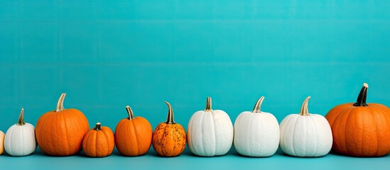 Poster - Copy space image of white and orange pumpkins aligned on a vibrant orange and aqua blue backdrop