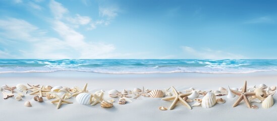 Poster - Copy space image of seashells and starfishes scattered on a pristine expanse of white sand