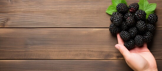 Poster - Close up copy space image of a hand holding a blackberry on a wooden background conveying the concept of organic food recipes diet and cooking