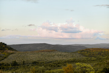 Wall Mural - Tranquil landscape with scattered trees and fluffy clouds in a vast open field