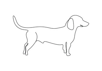 Wall Mural - Continuous one line drawing of dachshund dog vector illustration. Premium vector 