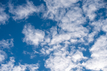 Wall Mural - pattern blue day sky with white clouds