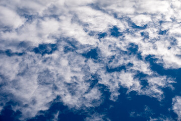 Wall Mural - pattern blue day sky with white clouds