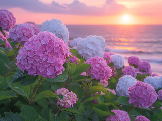Wall Mural - beautiful sunset at the ocean, with pink flowers in the foreground and the setting sun in the background.