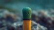 © Linus - A green match head is on a rock