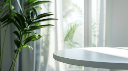 White round table in a modern minimalist style interior design background, with a blurred window with white curtains in the foreground and blurred green plant leaves on the left side of the frame.