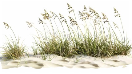 Beach Grass on Sandy Dunes Generative AI