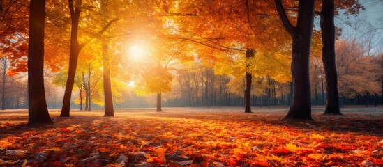 Wall Mural - Vivid autumn scenery with sunlight filtering through trees, creating a beautiful natural backdrop of colorful leaves falling in the park, perfect for a copy space image.