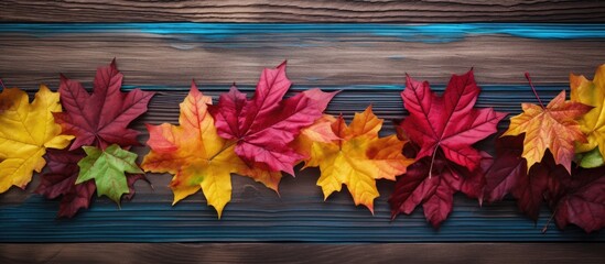 Fototapete - Colorful fall foliage of maple leaves on wooden backdrop with copy space image.