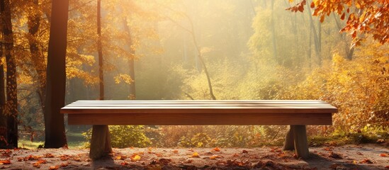 Wall Mural - Autumn forest setting with a wooden table; ideal copy space image for product displays on a sunny fall day.