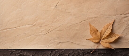 Poster - Closeup image showcasing the intricate texture of handmade paper with a leaf on it, creating a serene and natural ambiance with copy space for customization.