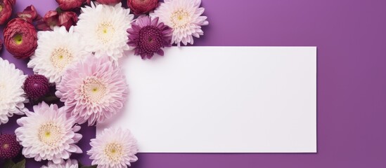 Aufkleber - Beautiful chrysanthemum flowers arranged in a frame with a blank card on a violet background in a flat lay composition, creating a copy space image.