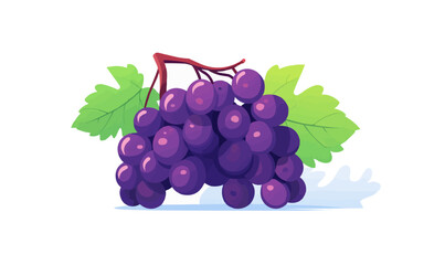 Wall Mural - Grape vector flat minimalistic asset isolated vector style illustration