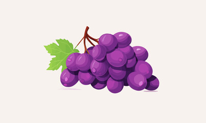 Wall Mural - Grape vector flat minimalistic asset isolated vector style illustration