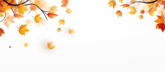 Poster - Autumn leaves blowing in the wind against a white background with copy space image.