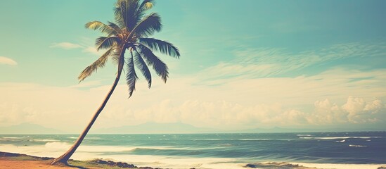 Poster - A vintage-looking photo featuring a single palm tree in Hawaii with a retro filter, perfect for a copy space image.