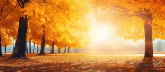 Aufkleber - Vibrant autumn scenery: yellow trees under the sun with colorful park foliage and leaves falling in the background; perfect for a copy space image.