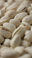 Wall Mural - Closeup of a roasted pistachio nut 