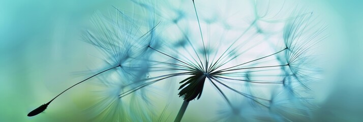 Intricate dandelion seed close up with soft blue sky and dispersing seeds in background